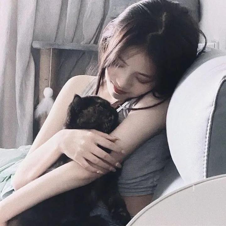 最后的维米尔
